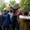 foto Bevrijdingsfestival Zuid-Holland 2019