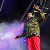 Foto Green Cabin te Bevrijdingsfestival Zuid-Holland 2019