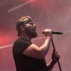 Foto Wulf te Central Park 2019