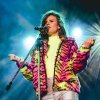 Foto Merol te Vestrock 2019