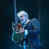 Triggerfinger foto Vestrock 2019