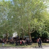 Foto op Wave Gotik Treffen 2019
