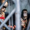 Foto Les Robots te Metropolis Festival 2019