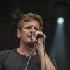 Foto Raccoon te Gelderpop 2019