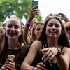 Cabaretinfo review: Fields of Joy Festival 2019