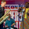 Foto Artvark te Summertime Festival 2019