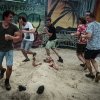 Foto  op Zwarte Cross Festival 2019