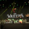 Foto The Wailers te Zwarte Cross Festival 2019 - Zaterdag