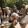 foto Zwarte Cross Festival 2019 - Zondag