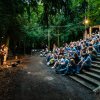 Foto Marlene Bakker op Tussen de hoge Bomen 2019