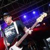 The Dopamines