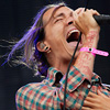 Incubus foto Pinkpop 2008