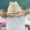 Foto  op Pinkpop 2008