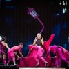 Foto P!nk te P!nk - 11/08 - Malieveld Den Haag