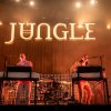 Jungle foto Lowlands 2019 - Vrijdag