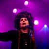 Lene Lovich Band 40 years foto W-festival 2019