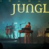 Jungle foto Sziget 2019 - zondag