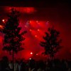 Cabaretinfo review: Festival Strand 2019