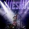 Foto The Cards te Bluesrock Festival Tegelen 2019