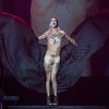 Foto  op Wende’s Kaleidoscoop - 11/09 - Koninklijk Theater Carré