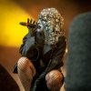 Foto Fata Boom te Breda Barst 2019 Zaterdag