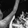 Foto Ty Segall and the Freedom Band op Ty Segall and the Freedom Band Patronaat