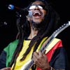 Foto Steel Pulse te Parkpop 2004