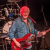 Foto The Osmonds te The Osmonds - 17/11 - De Vorstin