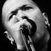 Foto Danko Jones op Bospop 2008