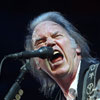 Foto Neil Young te Roskilde 2008