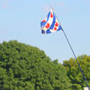 Foto  op Roskilde 2008