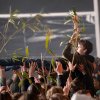Cabaretinfo review: Back to Live Fieldlab festival pop
