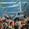 Cabaretinfo review: Back to Live Fieldlab festival pop