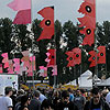 Foto op Pukkelpop 2008