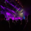 Foto Wulf te Gelderpop 2021