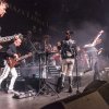 Foto Crazy Little Things te Crazy Little Things - 02/10 - Boerderij