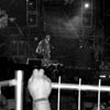 Foto  op Sziget 2008