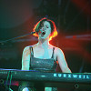  foto Lowlands 2008