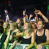 Foto  op Lowlands 2008
