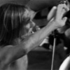 Iggy & The Stooges