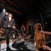 Foto Peter Doherty te Peter Doherty - 09/05 - Het Zonnehuis