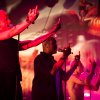 Foto Goldband te Dauwpop 2022