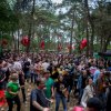 Cabaretinfo review: Dauwpop 2022
