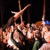 Foto Goldband te Dauwpop 2022
