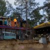 Foto  op Dauwpop 2022