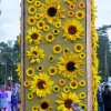 Foto  op Dauwpop 2022