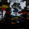 Cabaretinfo review: Dauwpop 2022