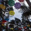 Cabaretinfo review: Dauwpop 2022