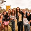 Cabaretinfo review: Dauwpop 2022