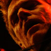 foto Bryan Adams - 1/10 - Ahoy'
